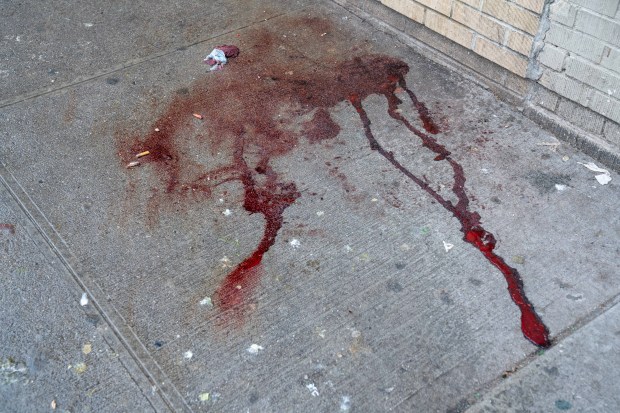 Daniel Lachapel was pronounced dead on scene after he was shot in the head at 690 Allerton Avenue in the Bronx on Saturday May 11, 2024. 2253. Photos taken on Sunday May 12, 2024. 0749. (Theodore Parisienne for New York Daily News)