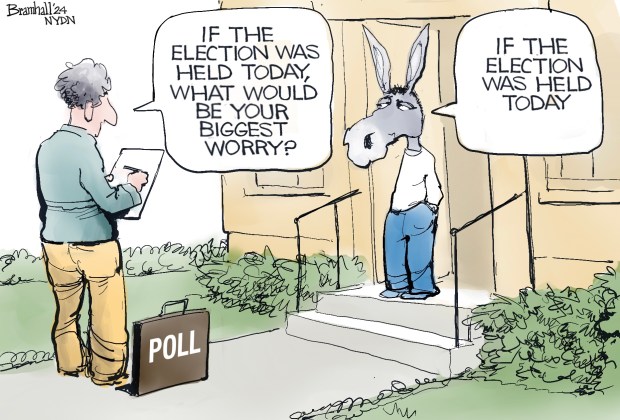 Bramhall's World for Tuesday, May 14, 2024. (Bill Bramhall / New York Daily News)