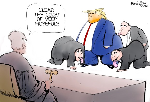 Bramhall's World for Wednesday, May 15, 2024. (Bill Bramhall / New York Daily News)